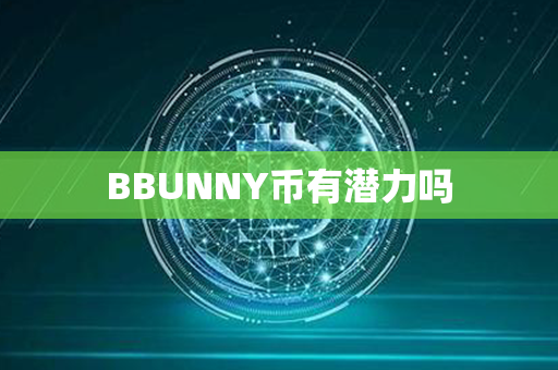 BBUNNY币有潜力吗第1张-金锚网