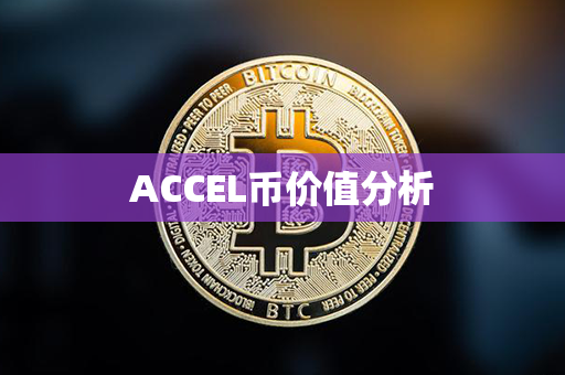 ACCEL币价值分析第1张-金锚网