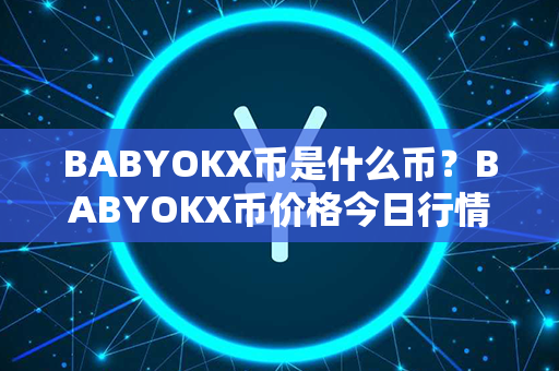 BABYOKX币是什么币？BABYOKX币价格今日行情？第1张-金锚网