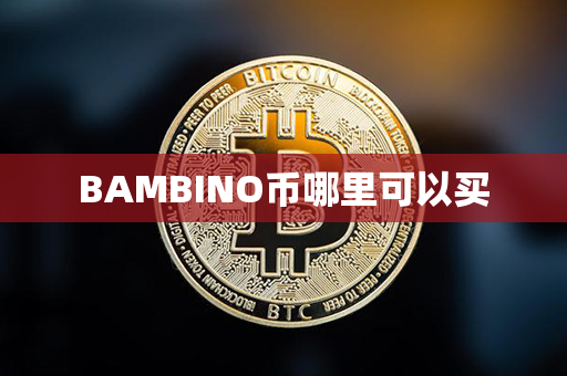 BAMBINO币哪里可以买第1张-金锚网