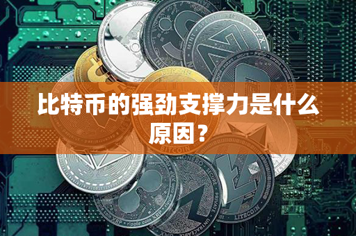 比特币的强劲支撑力是什么原因？