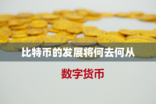 比特币的发展将何去何从