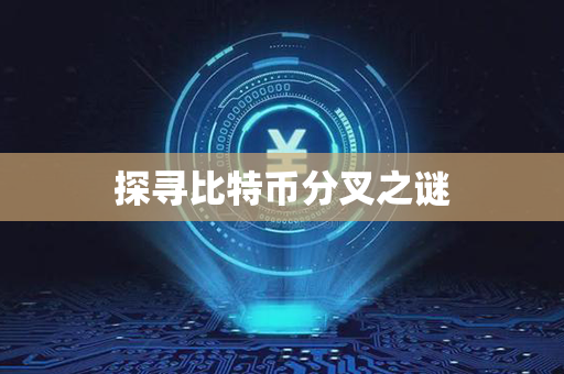 探寻比特币分叉之谜