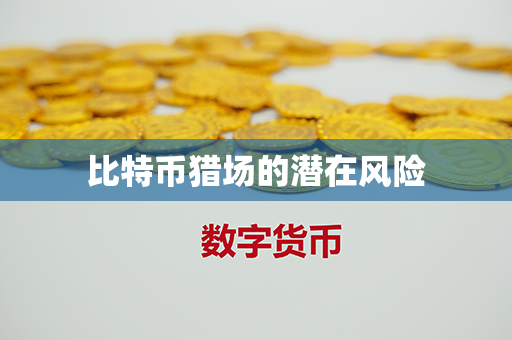 比特币猎场的潜在风险第1张-金锚网