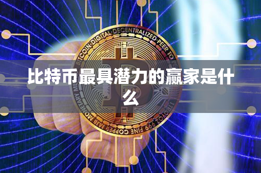 比特币最具潜力的赢家是什么第1张-金锚网