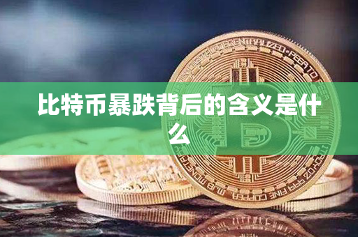 比特币暴跌背后的含义是什么第1张-金锚网