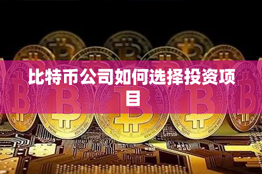 比特币公司如何选择投资项目第1张-金锚网