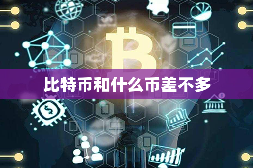 比特币和什么币差不多第1张-金锚网