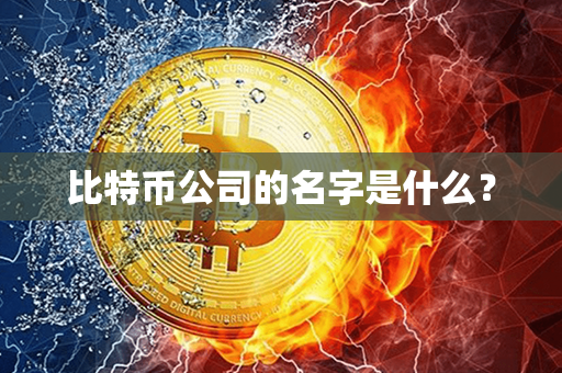 比特币公司的名字是什么？第1张-金锚网