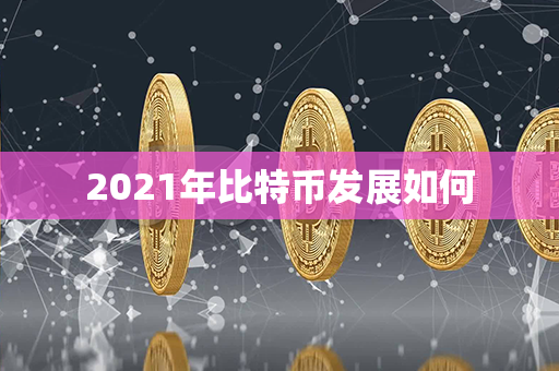 2021年比特币发展如何第1张-金锚网