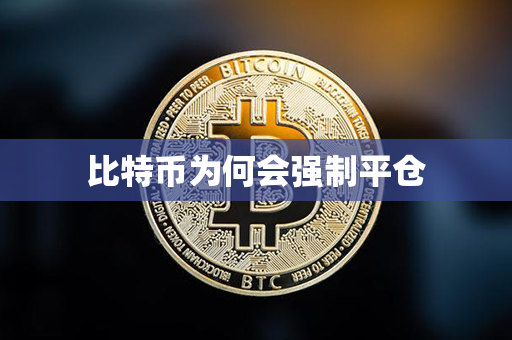 比特币为何会强制平仓第1张-金锚网