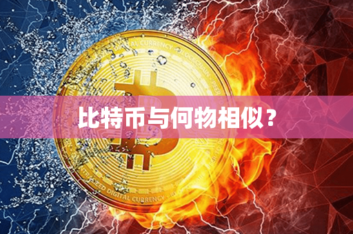 比特币与何物相似？第1张-金锚网