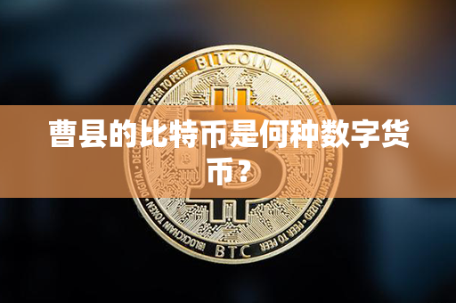 曹县的比特币是何种数字货币？第1张-金锚网