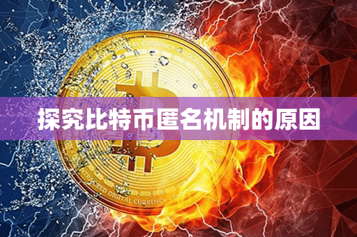 探究比特币匿名机制的原因