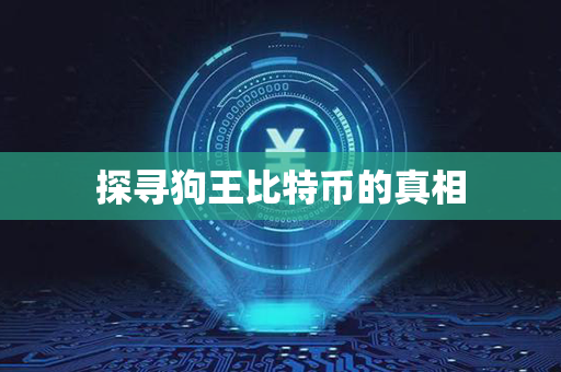 探寻狗王比特币的真相