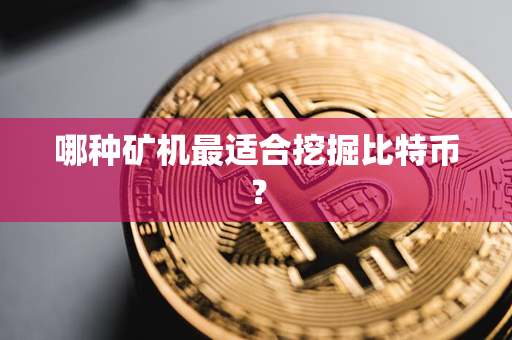 哪种矿机最适合挖掘比特币？第1张-金锚网