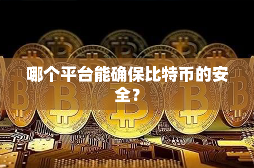 哪个平台能确保比特币的安全？第1张-金锚网