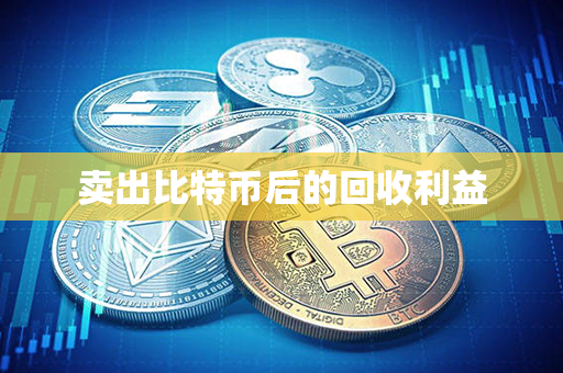 卖出比特币后的回收利益第1张-金锚网