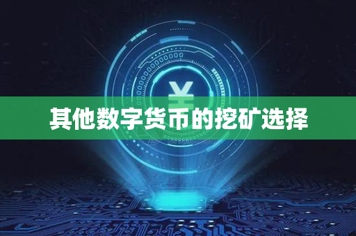 其他数字货币的挖矿选择第1张-金锚网