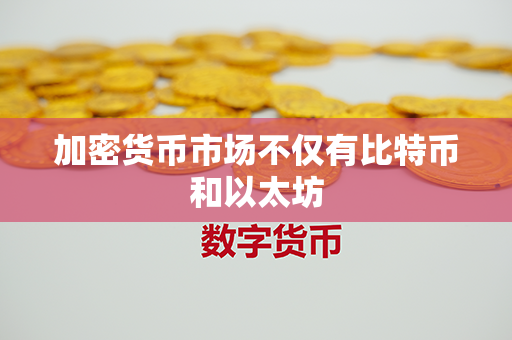 加密货币市场不仅有比特币和以太坊第1张-金锚网