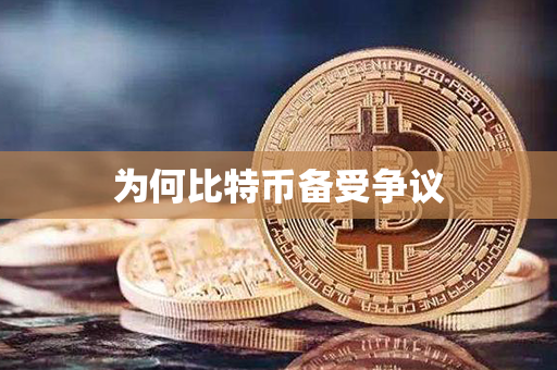 为何比特币备受争议第1张-金锚网