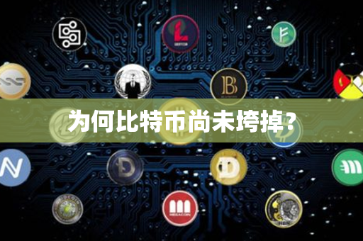 为何比特币尚未垮掉？第1张-金锚网