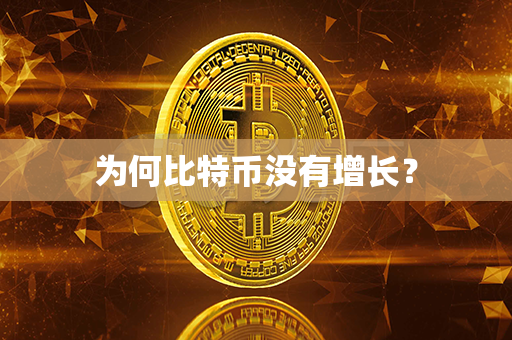 为何比特币没有增长？第1张-金锚网