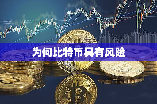 为何比特币具有风险第1张-金锚网