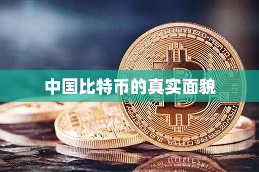 中国比特币的真实面貌第1张-金锚网