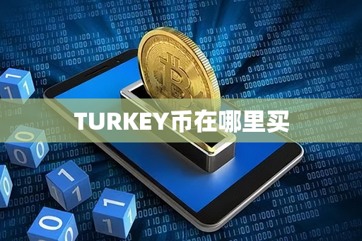 TURKEY币在哪里买第1张-金锚网